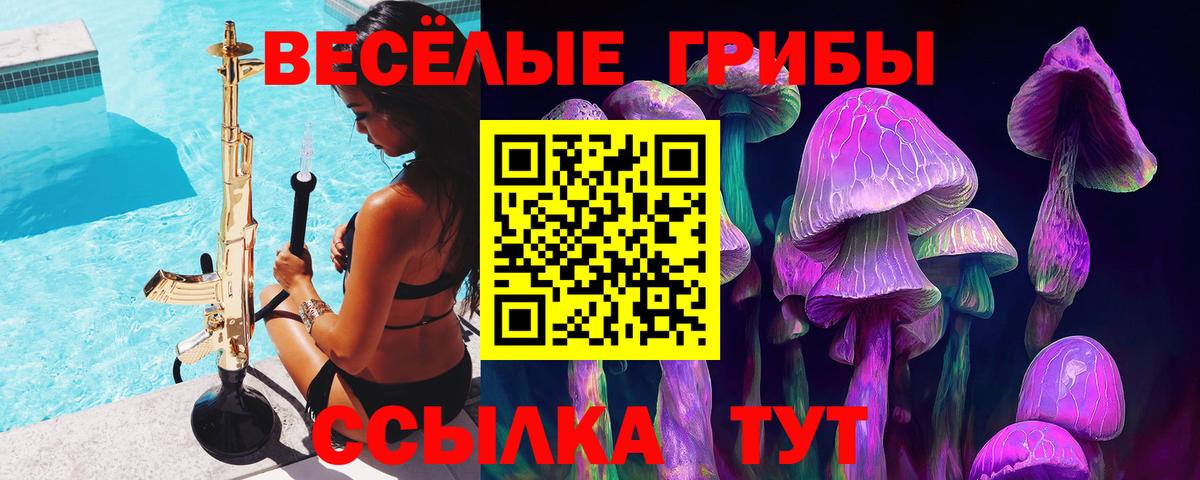 Грязи  Псилоцибиновые грибы мицелий  Вход с VPN 
